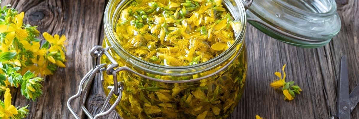 Sarı Kantaron Yağı Kullanım Rehberi